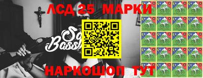 гидра Новозыбков