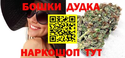 гидра Новозыбков