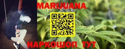 гидра Новозыбков