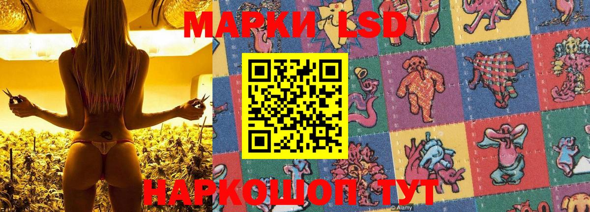 Сертолово  Наркотические марки 1,5мг  Вход с VPN 