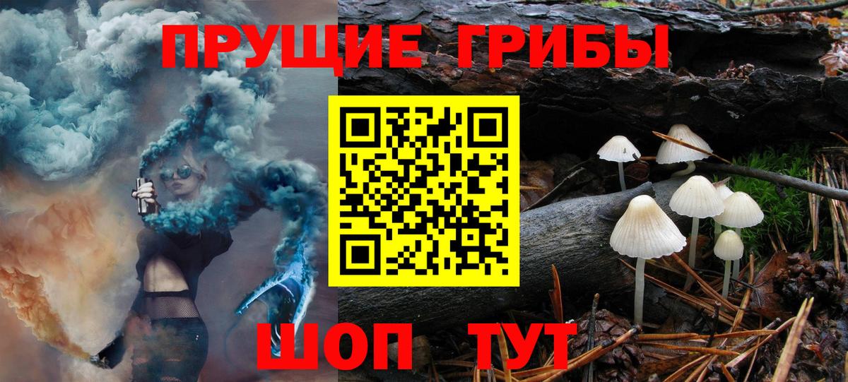 Галлюциногенные грибы MAGIC MUSHROOMS Сертолово